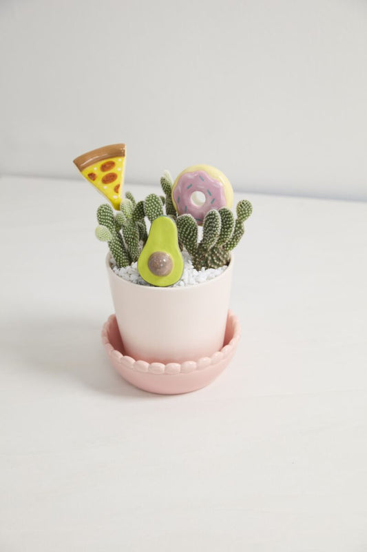 Snack Attack