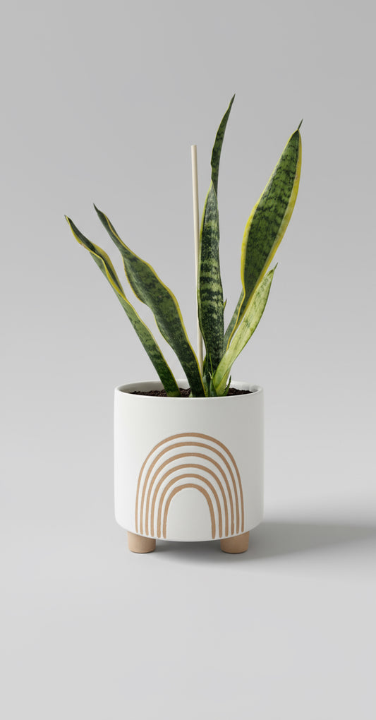 Neutral Rainbow Ceramic Planter — 6.75” x 6.75” x 7.5”
