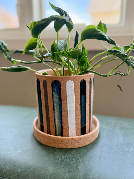 Truman Pot