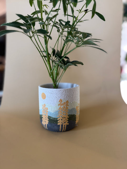 Mojave Forest Pot