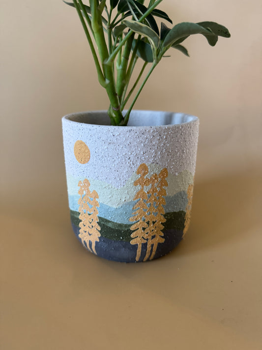 Mojave Forest Pot