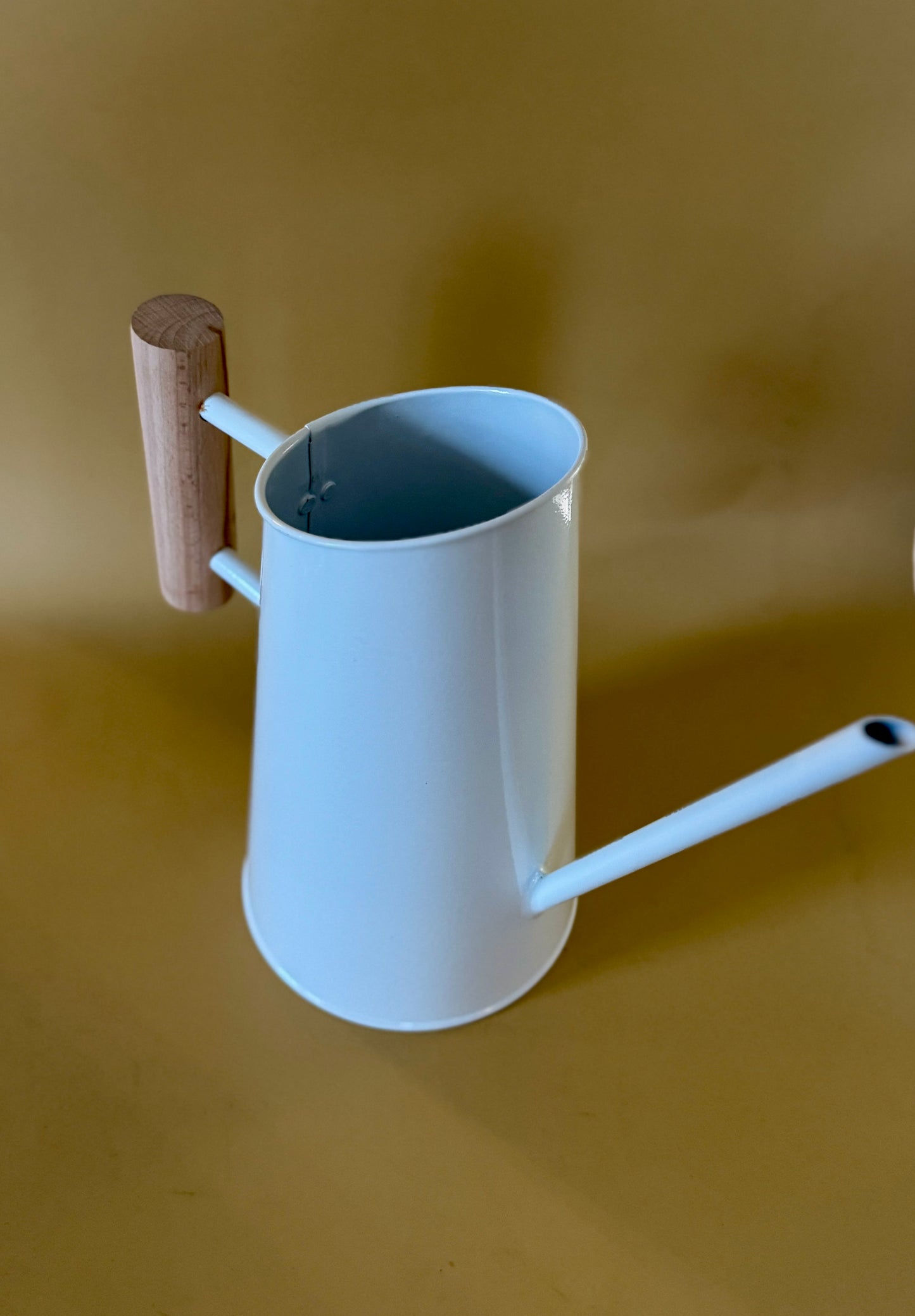Preston Watering Can