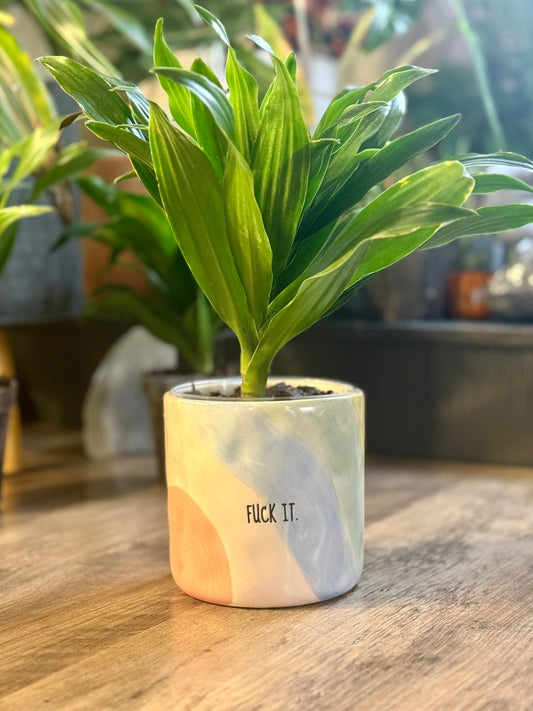 “F*ck It.” Ceramic Planter
