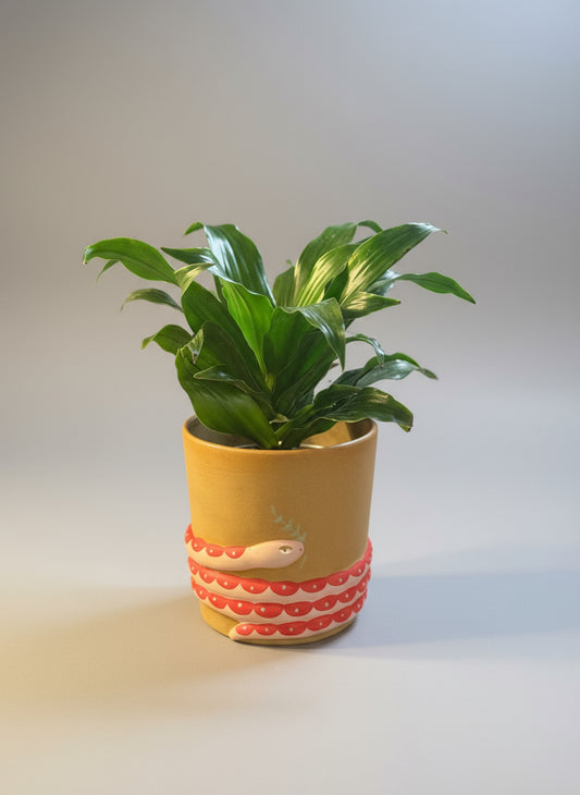 Serpent Ceramic Planter (5” x 5”) 🐍