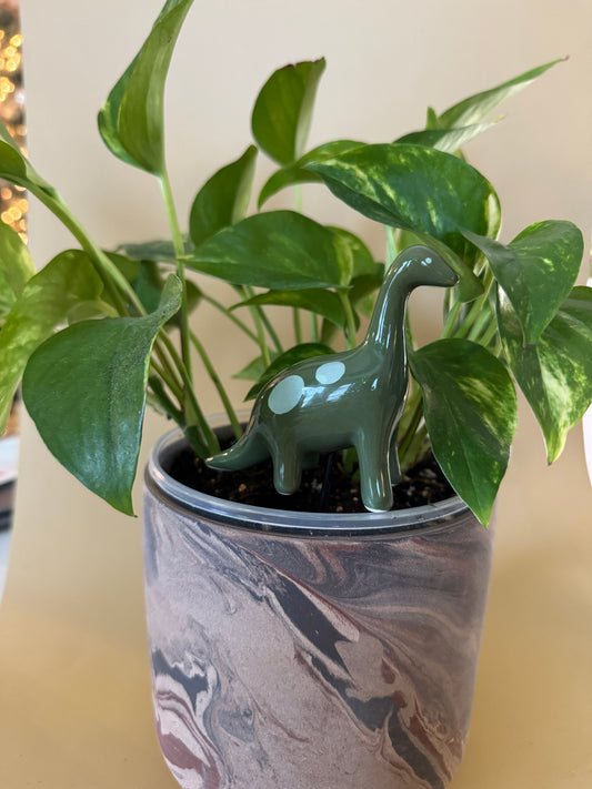 Dinosaur Plant Stick Set