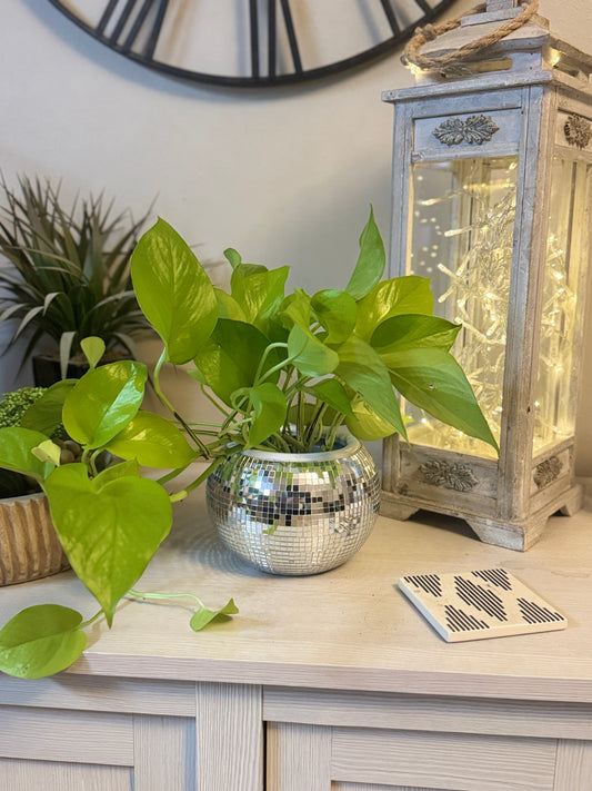 Disco Ball Planter