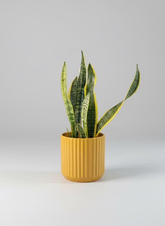 Yellow Ceramic Planter