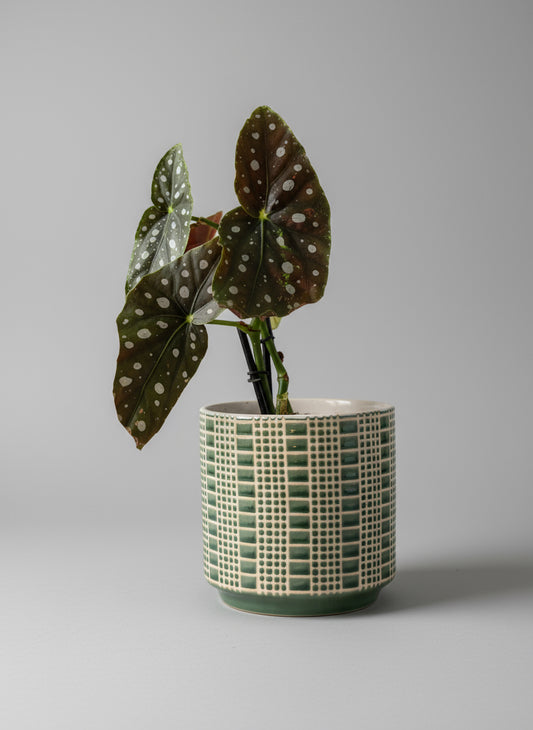 Textured Sage Ceramic Planter — 6.5” x 6.75”