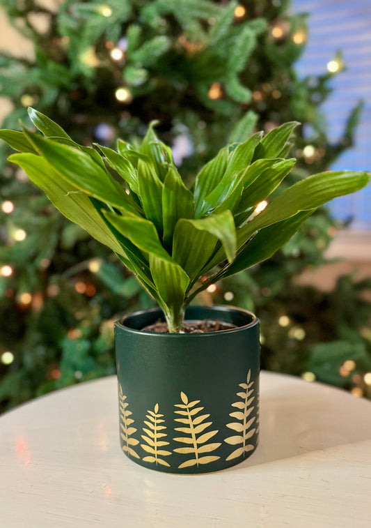 Midwinter Fern Pot