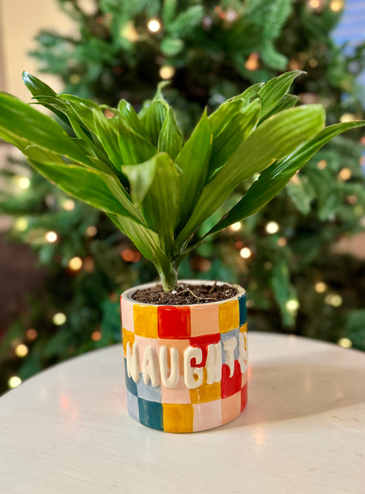 Naughty or Nice Pot