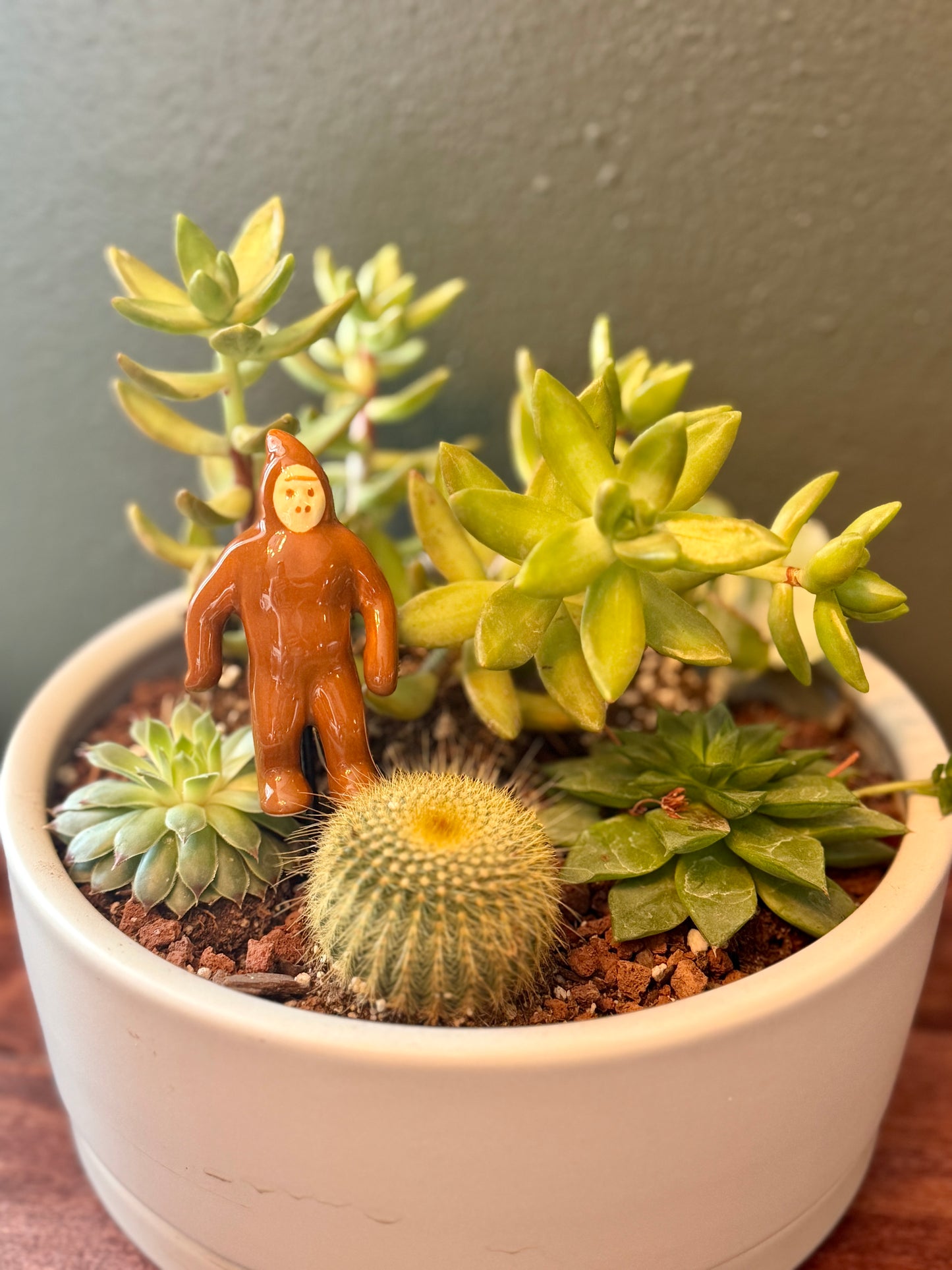 Sasquatch