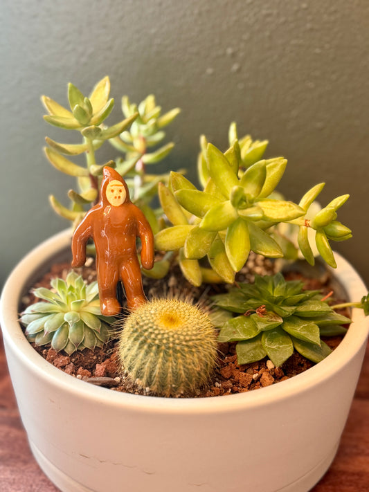 Sasquatch