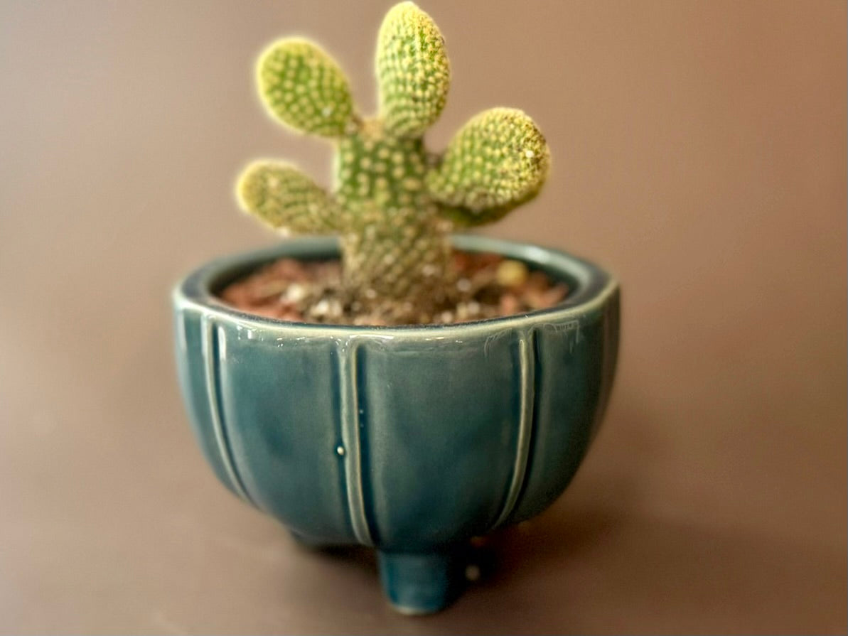 Pebble