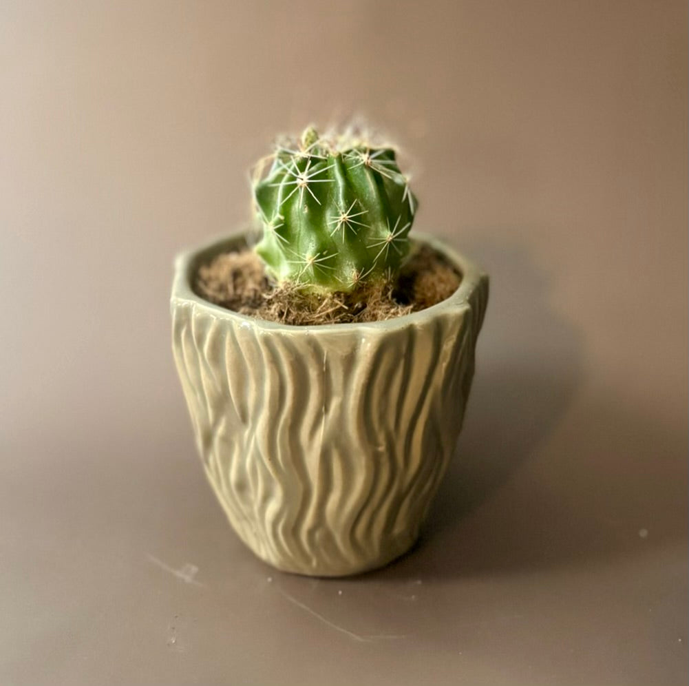 Prickle