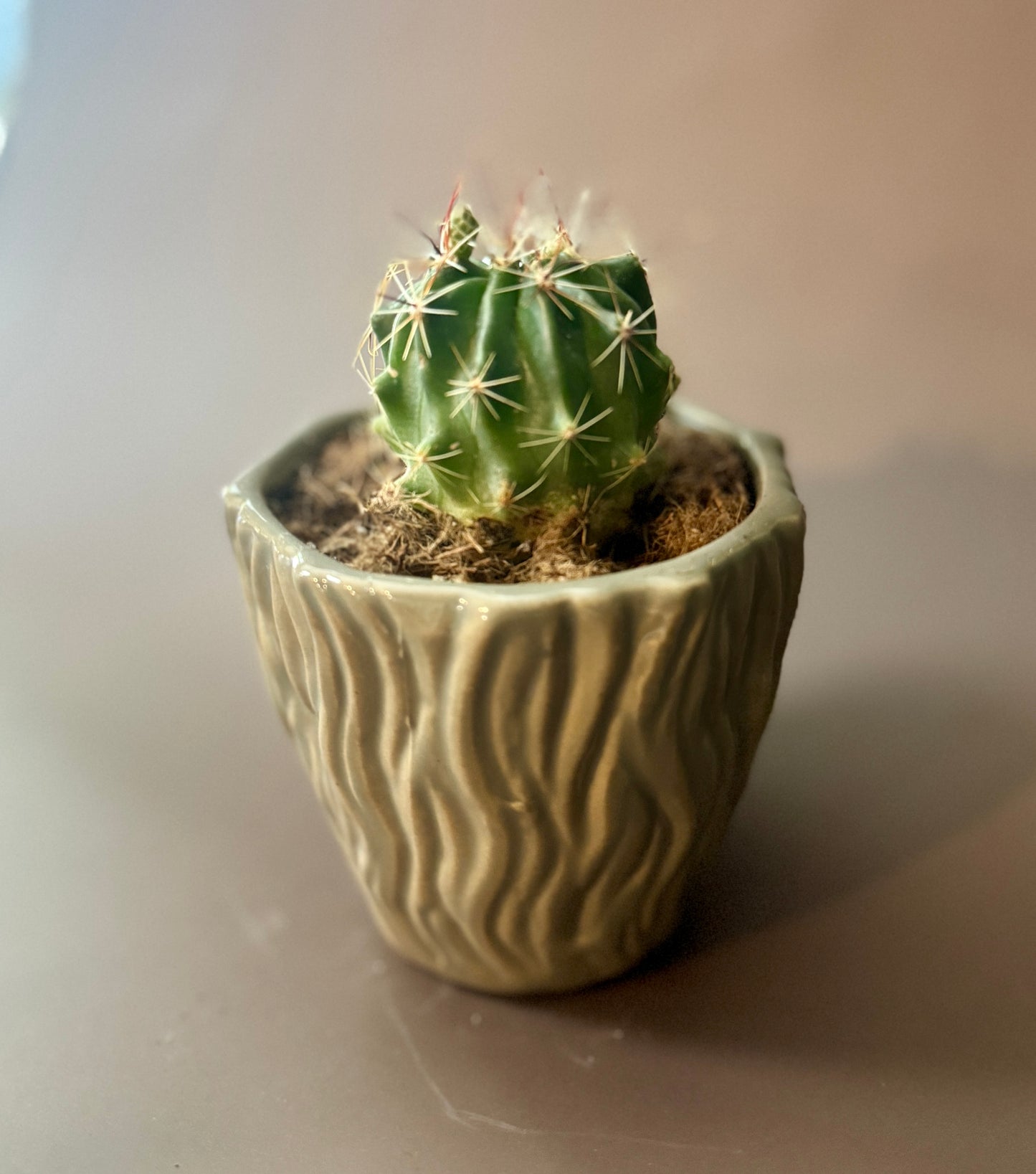 Prickle