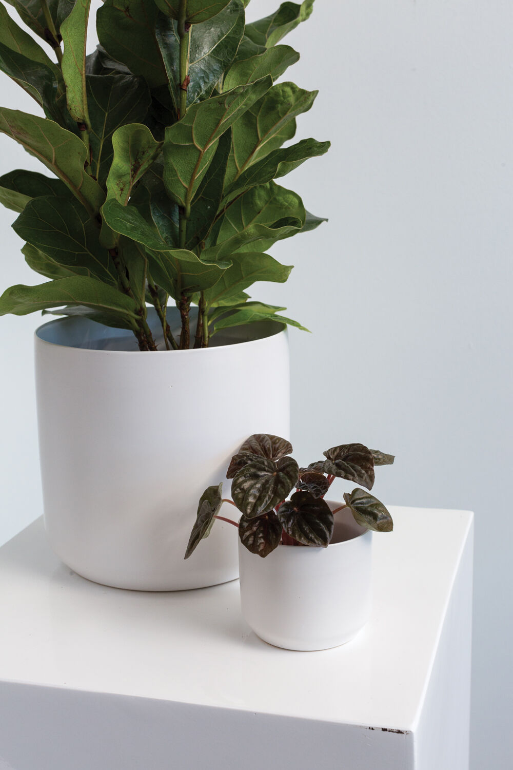 White Mini Pot