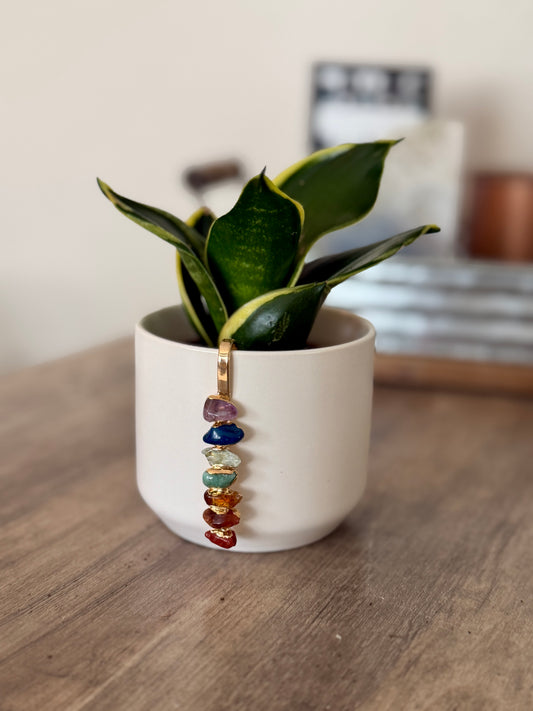 White Ceramic Pot with Aligned Chakra Pendant and Snake Plant
