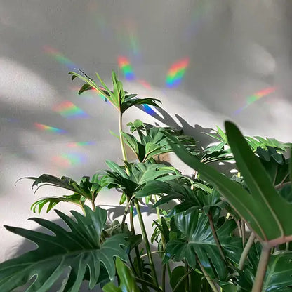 Rainbow maker sticker - Stay Wild (8 mini stickers)