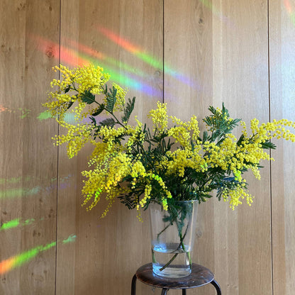 Rainbow maker sticker - Greenhouse Glow