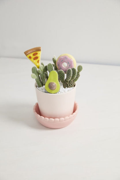 Snack Attack Plant Sticks