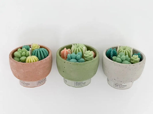 Christmas Succulent Concrete Candle