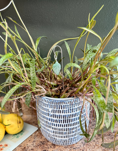 Green Quartz Gemstone Leaf Plant Accent