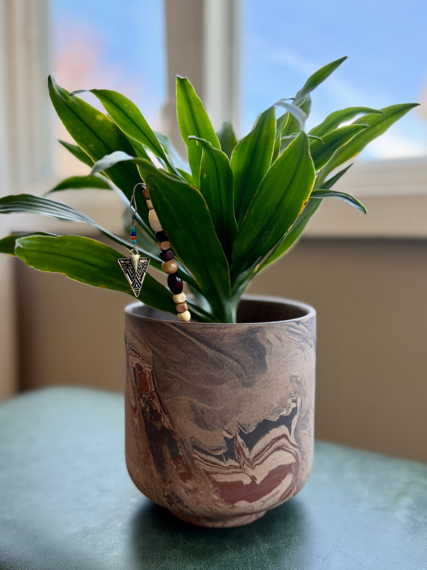 Dracaena in Marbled Pot