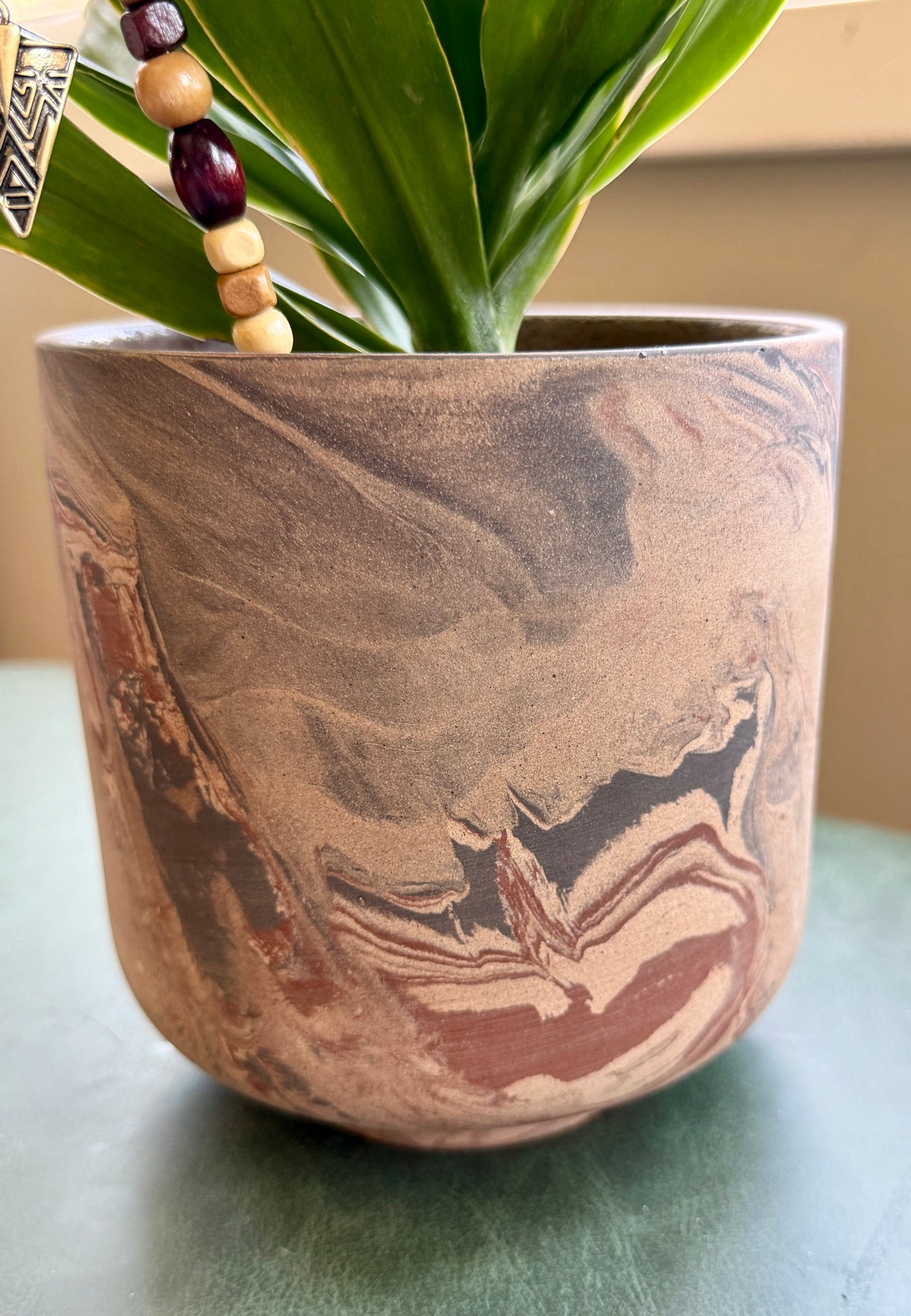 Dracaena in Marbled Pot