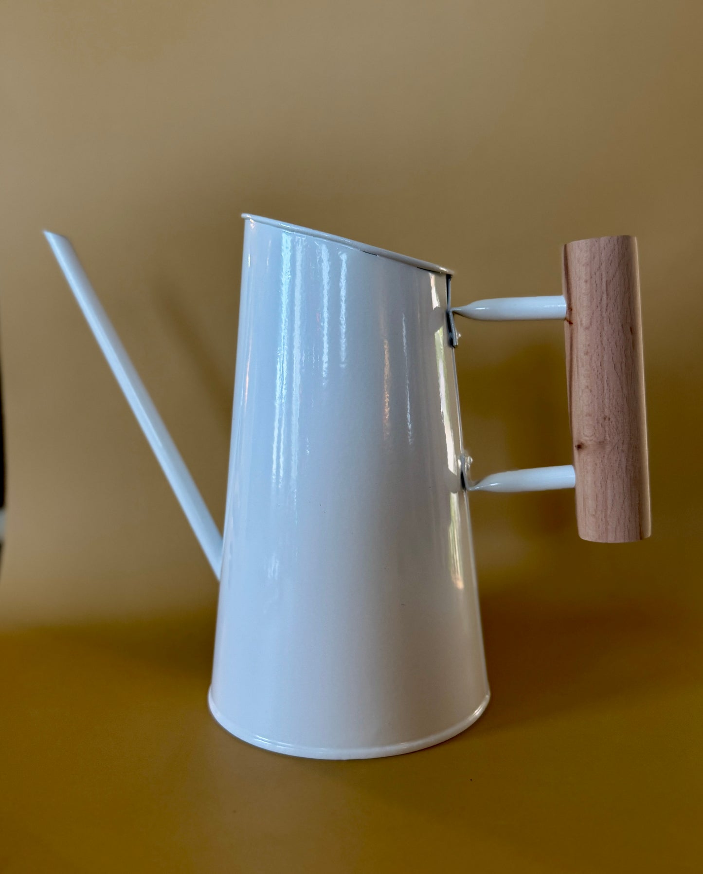 Preston Watering Can