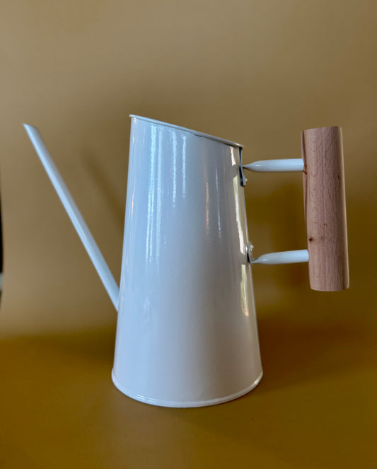 Preston Watering Can