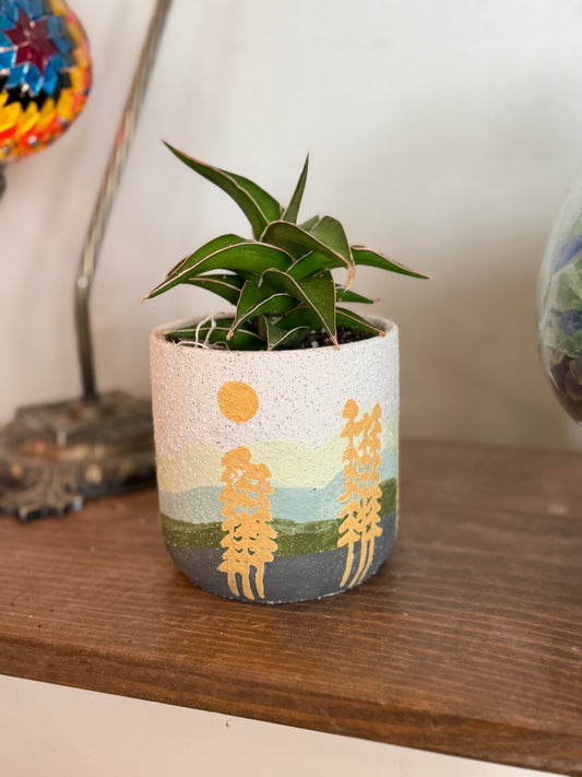 Mojave Forest Pot with Snake Lavranos