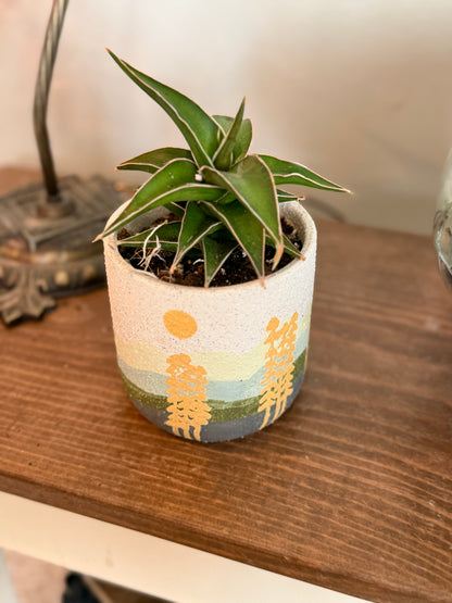 Mojave Forest Pot with Snake Lavranos