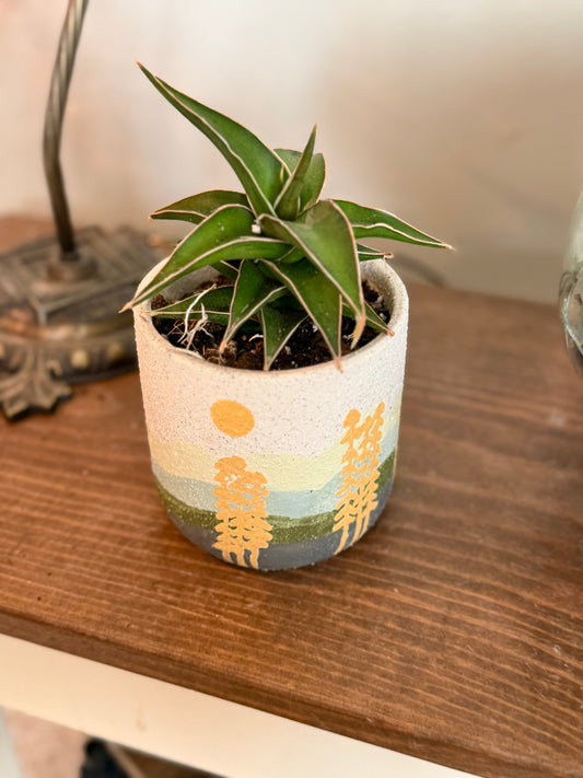 Mojave Forest Pot with Snake Lavranos