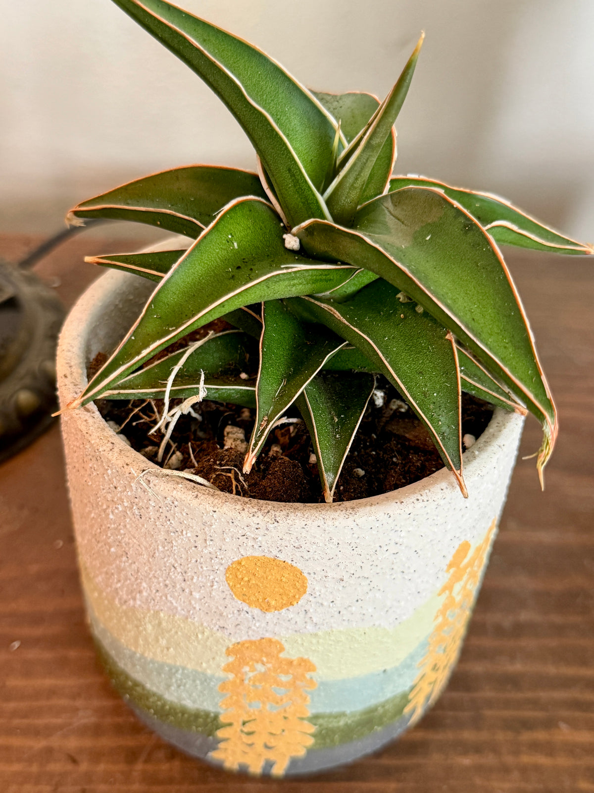 Mojave Forest Pot with Snake Lavranos