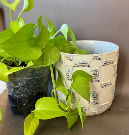 Anselm Pot with Neon Pothos