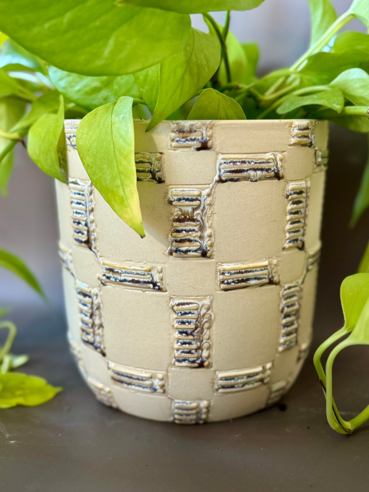 Anselm Pot with Neon Pothos