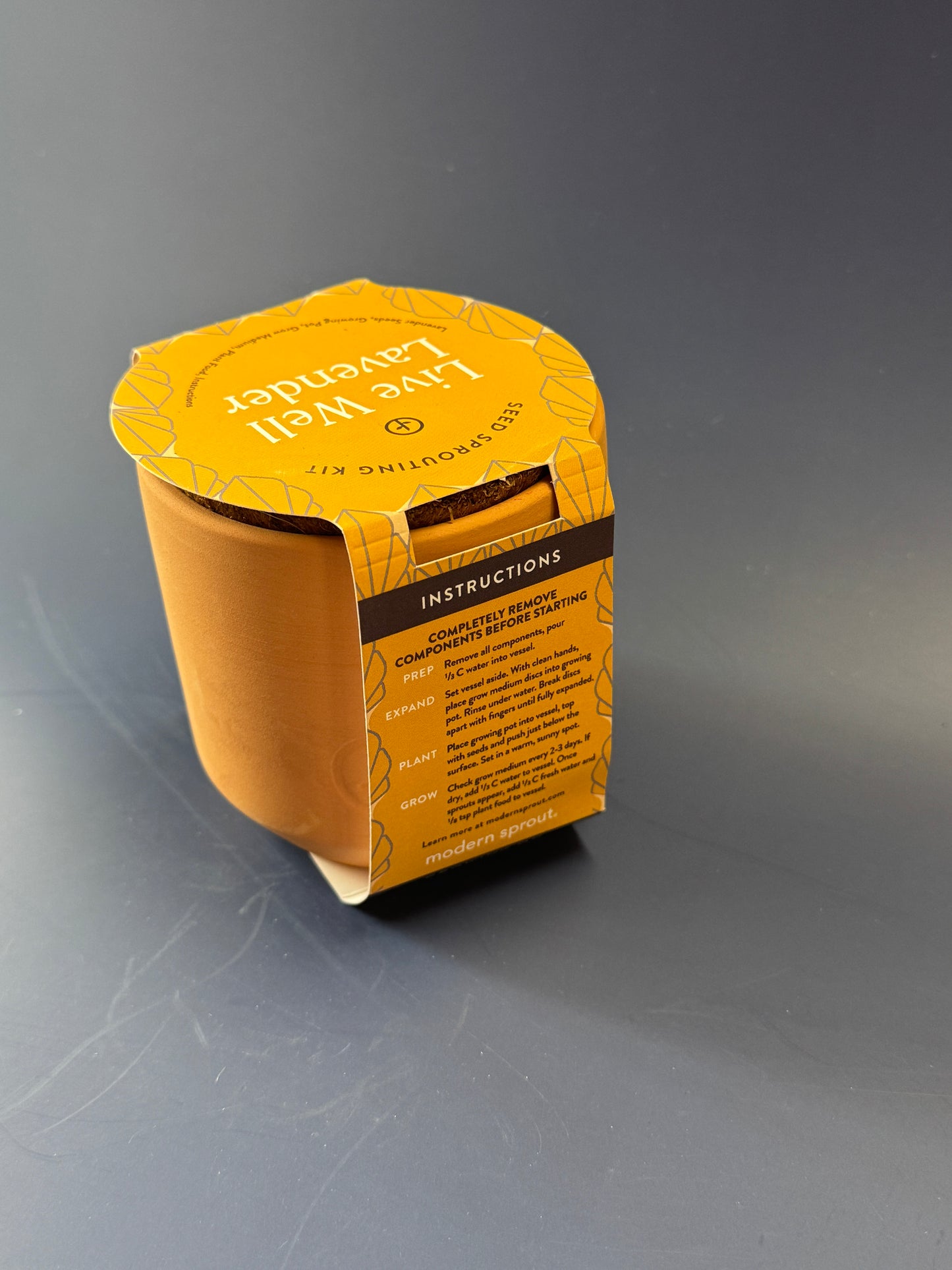 Tiny Terracotta Grow Kits: Live Well Lavender