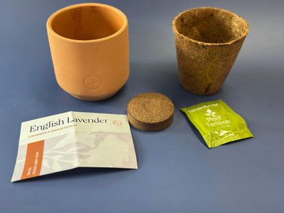 Tiny Terracotta Grow Kits: Live Well Lavender