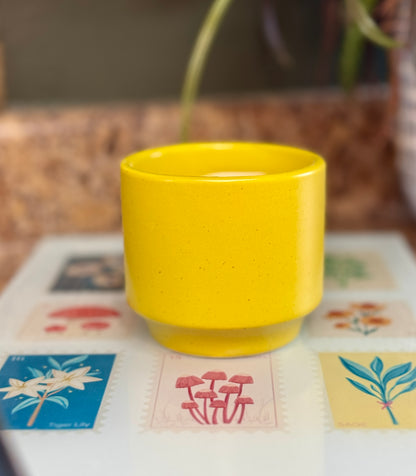 Mini Yellow Pot