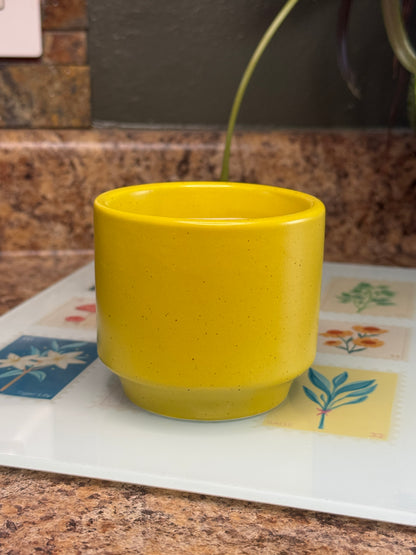 Mini Yellow Pot