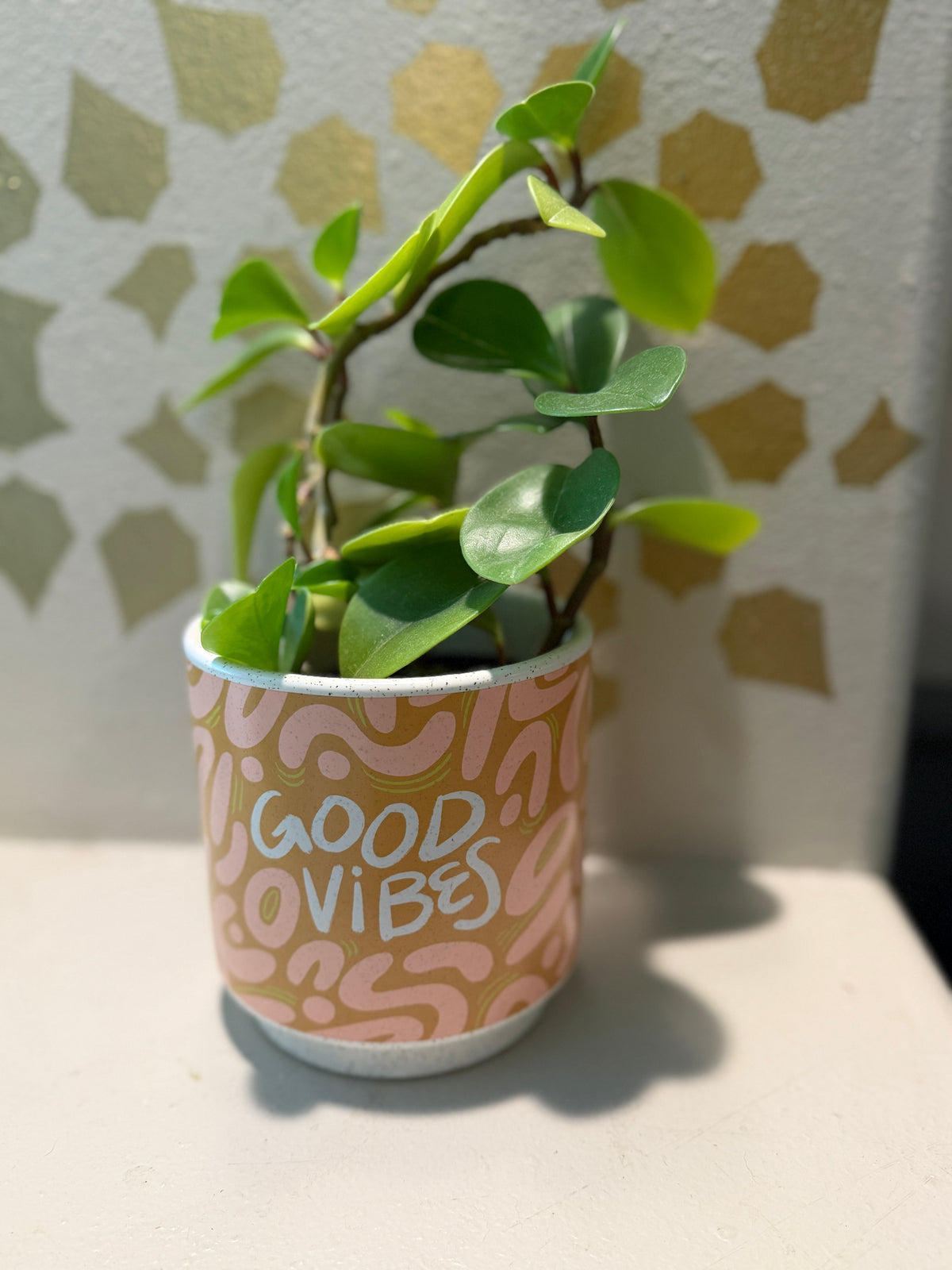 Good Vibes Planter