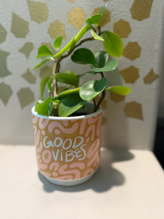 Good Vibes Planter