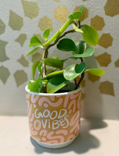 Good Vibes Planter