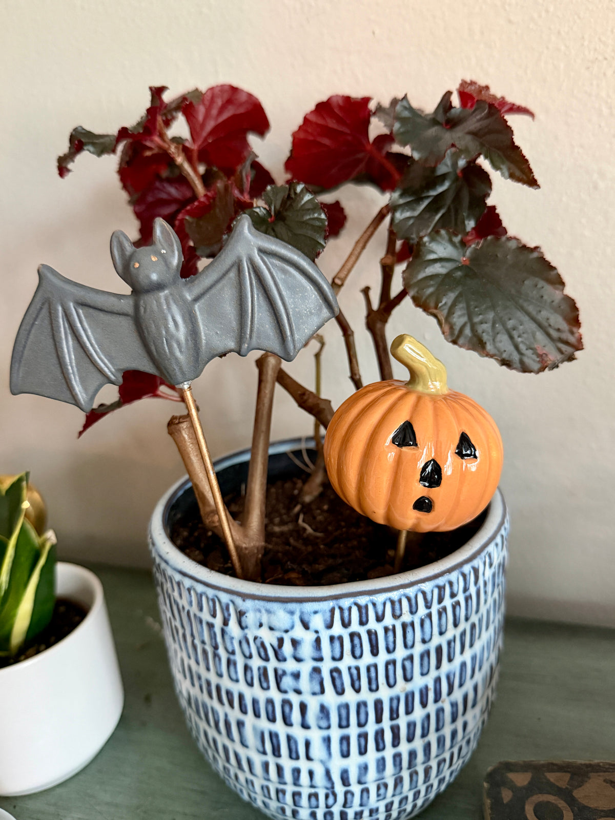 Spooky Plant Stick Set