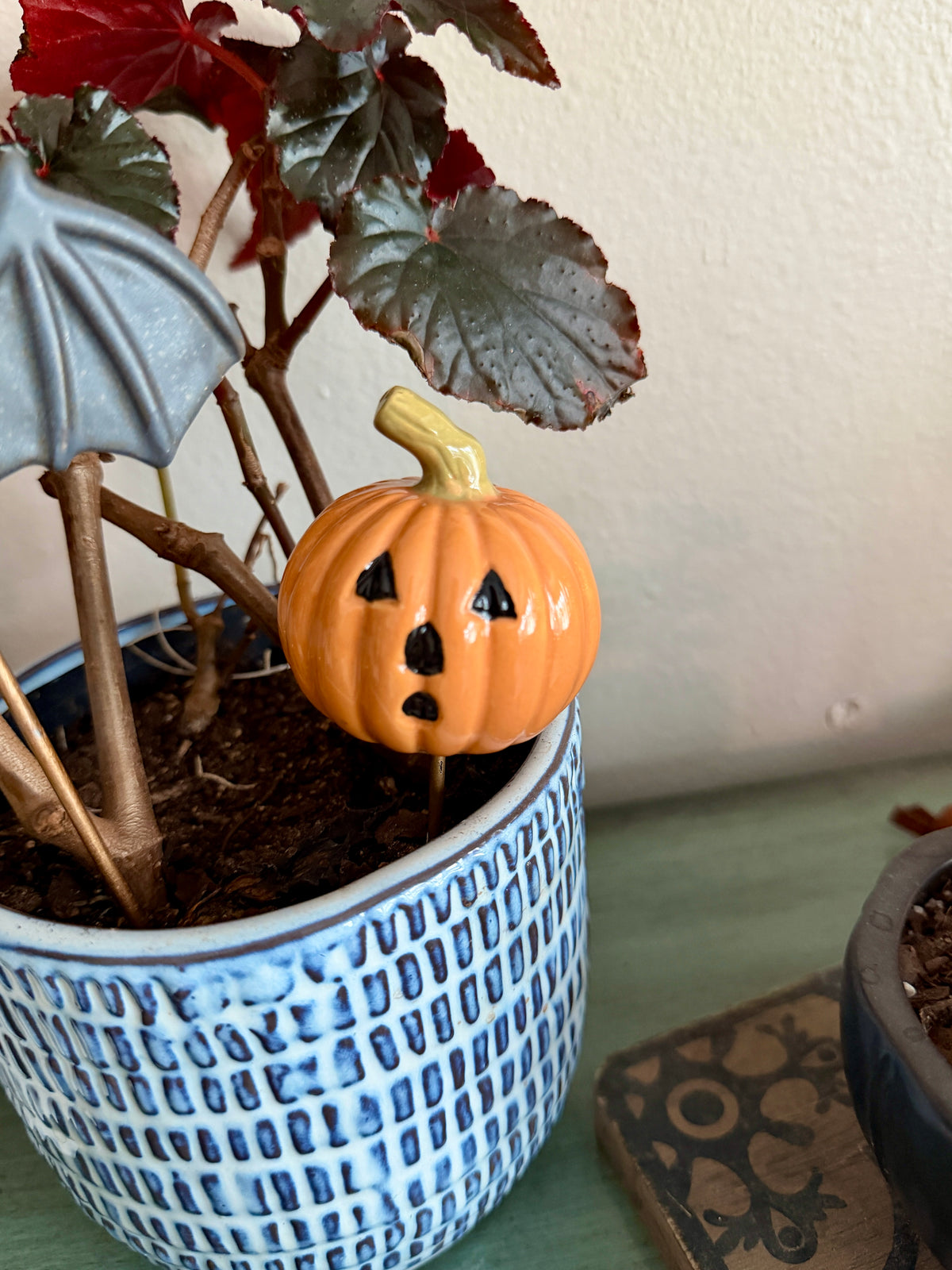 Spooky Plant Stick Set