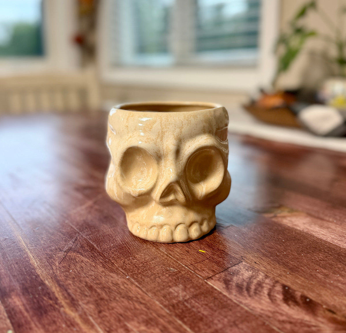 Ceramic Skull Pot