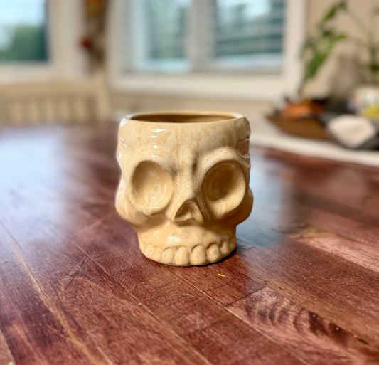 Ceramic Skull Pot