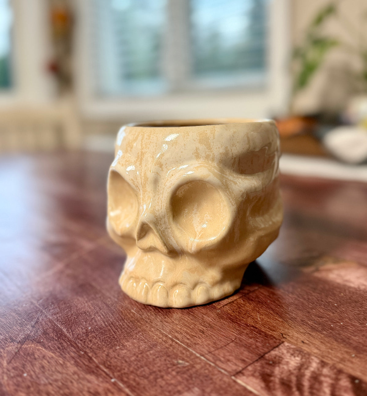Ceramic Skull Pot