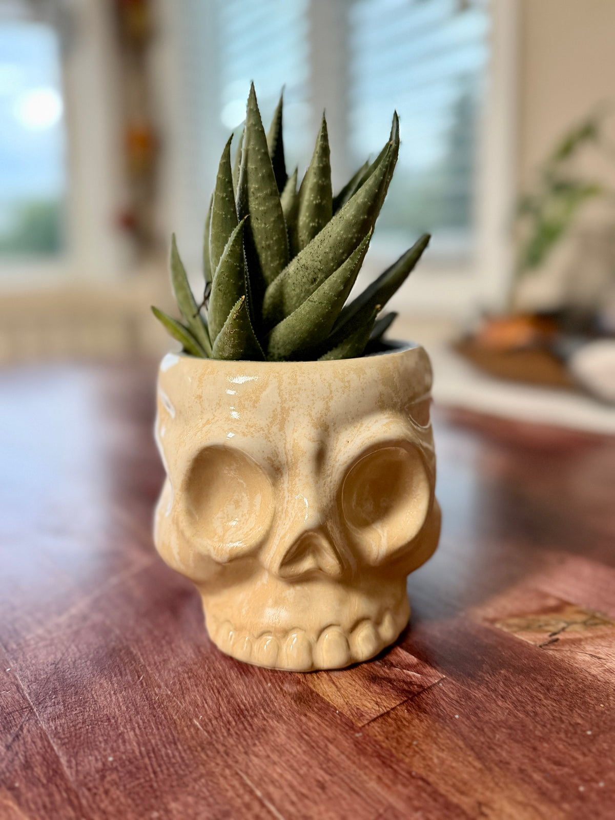 Ceramic Skull Pot