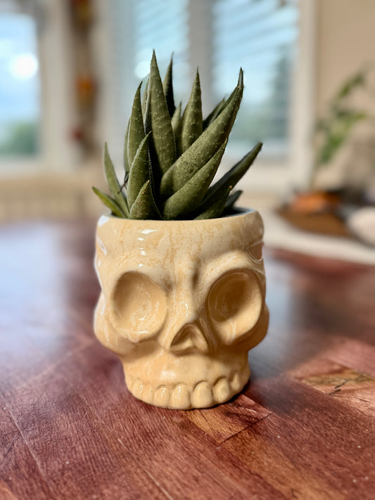 Ceramic Skull Pot